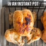 Curious as to how to cook a whole chicken in an Instant Pot? Keep reading to see how you can make a delicious, fall off the bone, and the juiciest whole chicken in an Instant Pot! #InstantPot #ChickenRecipe #InstantPotChicken