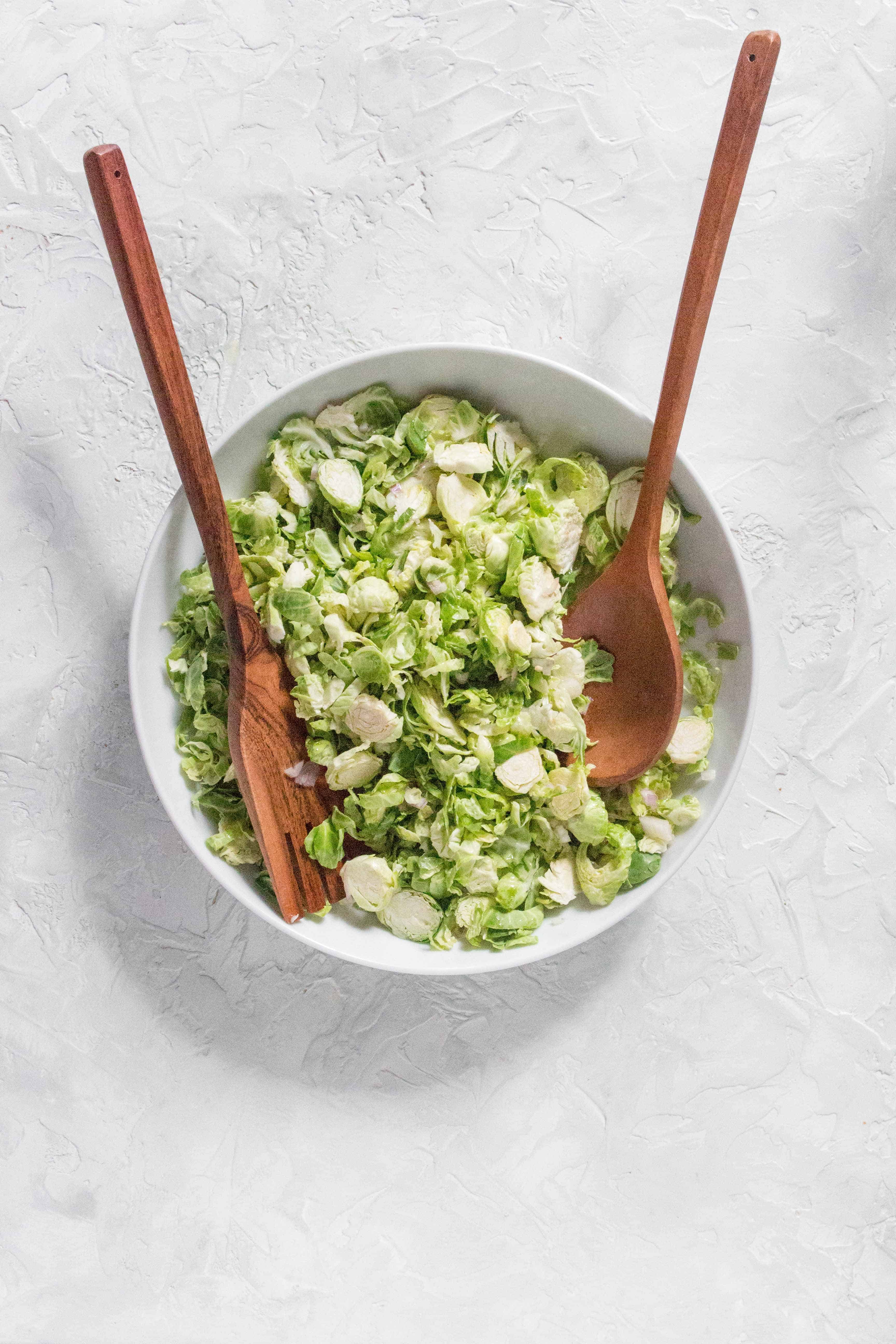 Quick and easy to put together, you're going to want to make this Easy Shaved Brussels Sprouts Salad for your next holiday meal! Plus you can make Shaved Brussels Sprouts Salad Recipe a day ahead of time to cut down on that holiday dinner stress!