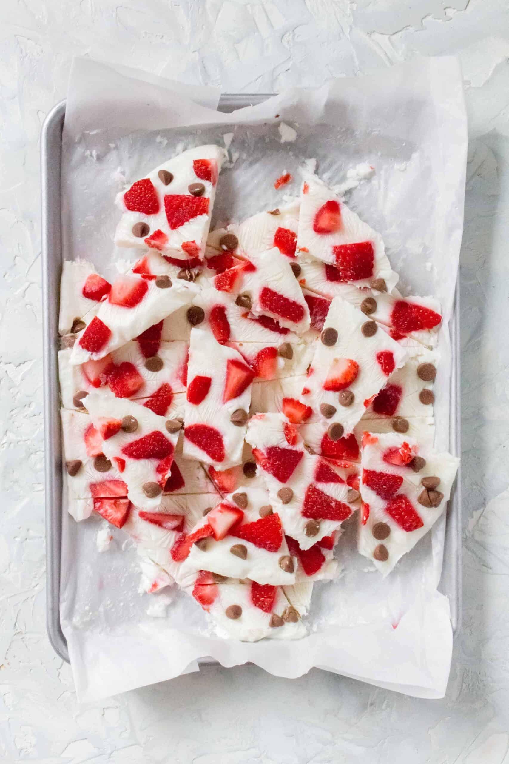 Frozen Yogurt Bark with Strawberries and Chocolate Chips