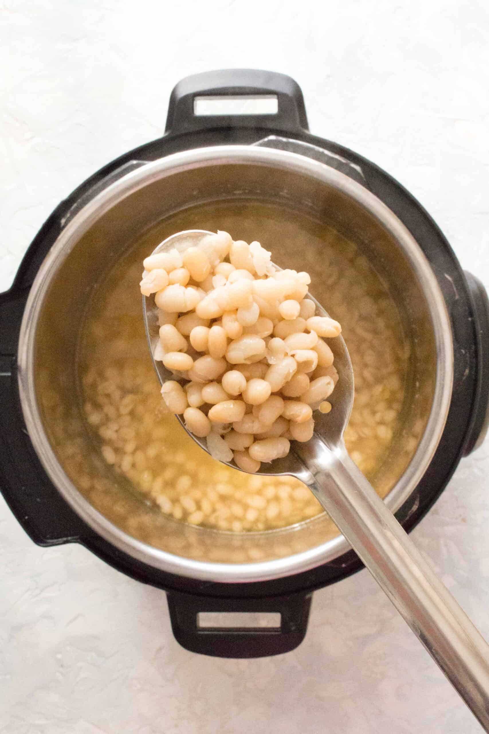 Instant Pot White Navy Beans (No Soak)
