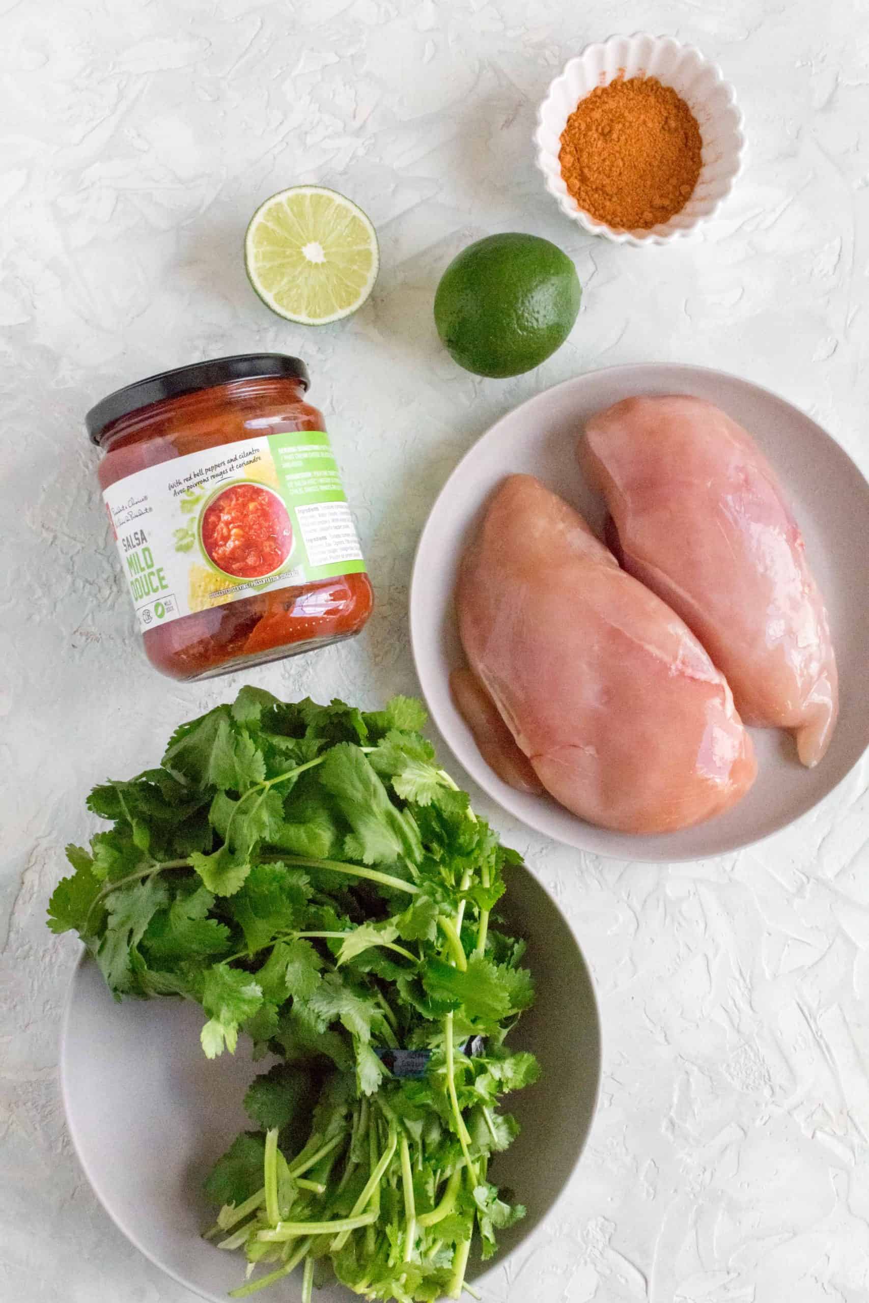 ingredients flatlay: alsa, lime, taco seasoning, chicken breasts, and cilantro