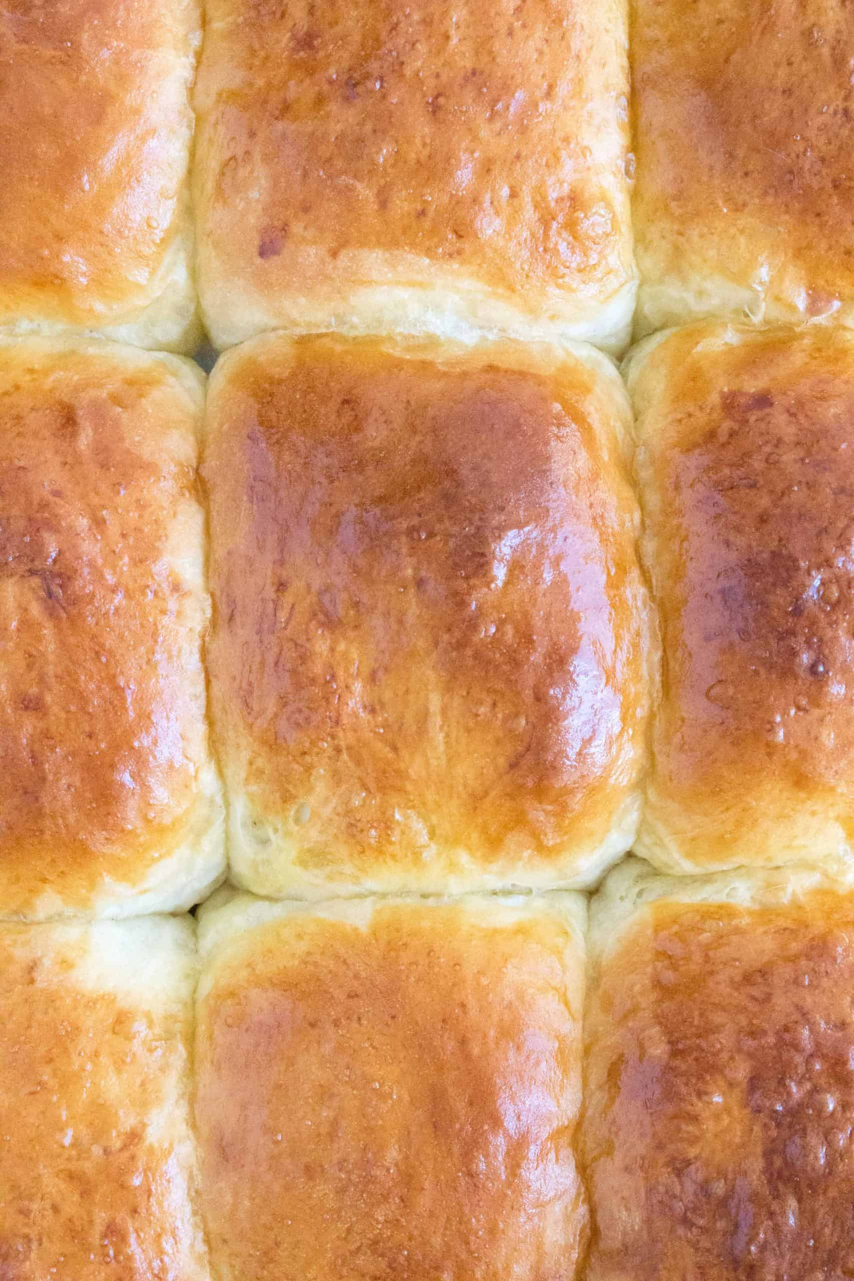 Here's how you can make fluffy, pillowy soft Hokkaido style milk bread rolls at home with this simple recipe. The perfect make ahead bread as they stay soft for days!