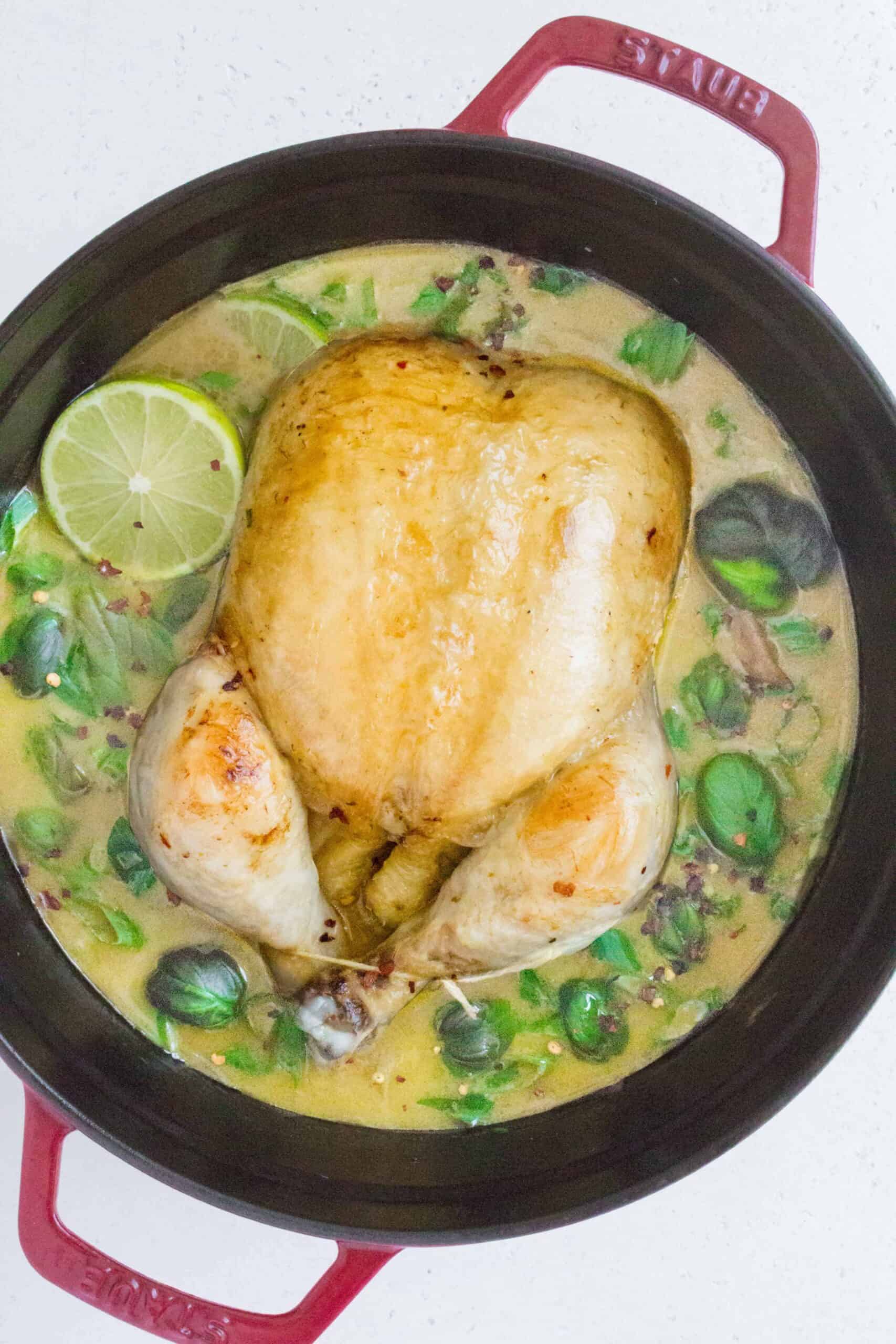 Creamy, spicy, and packed with flavour, you're going to want to give this melt-in-your-mouth Whole Thai Curry Chicken with Coconut Milk a try!