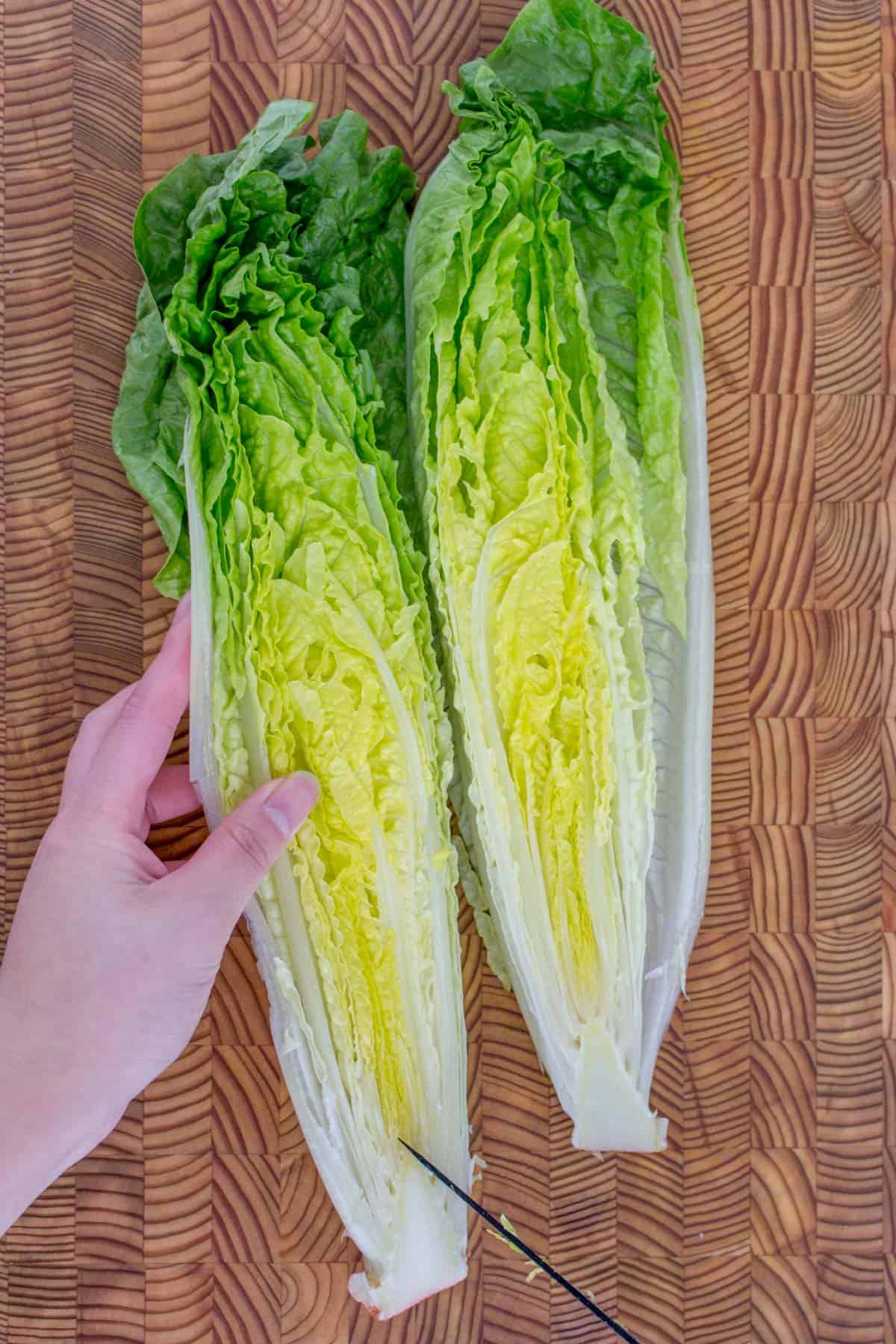 How to Cut Romaine Lettuce For Salads