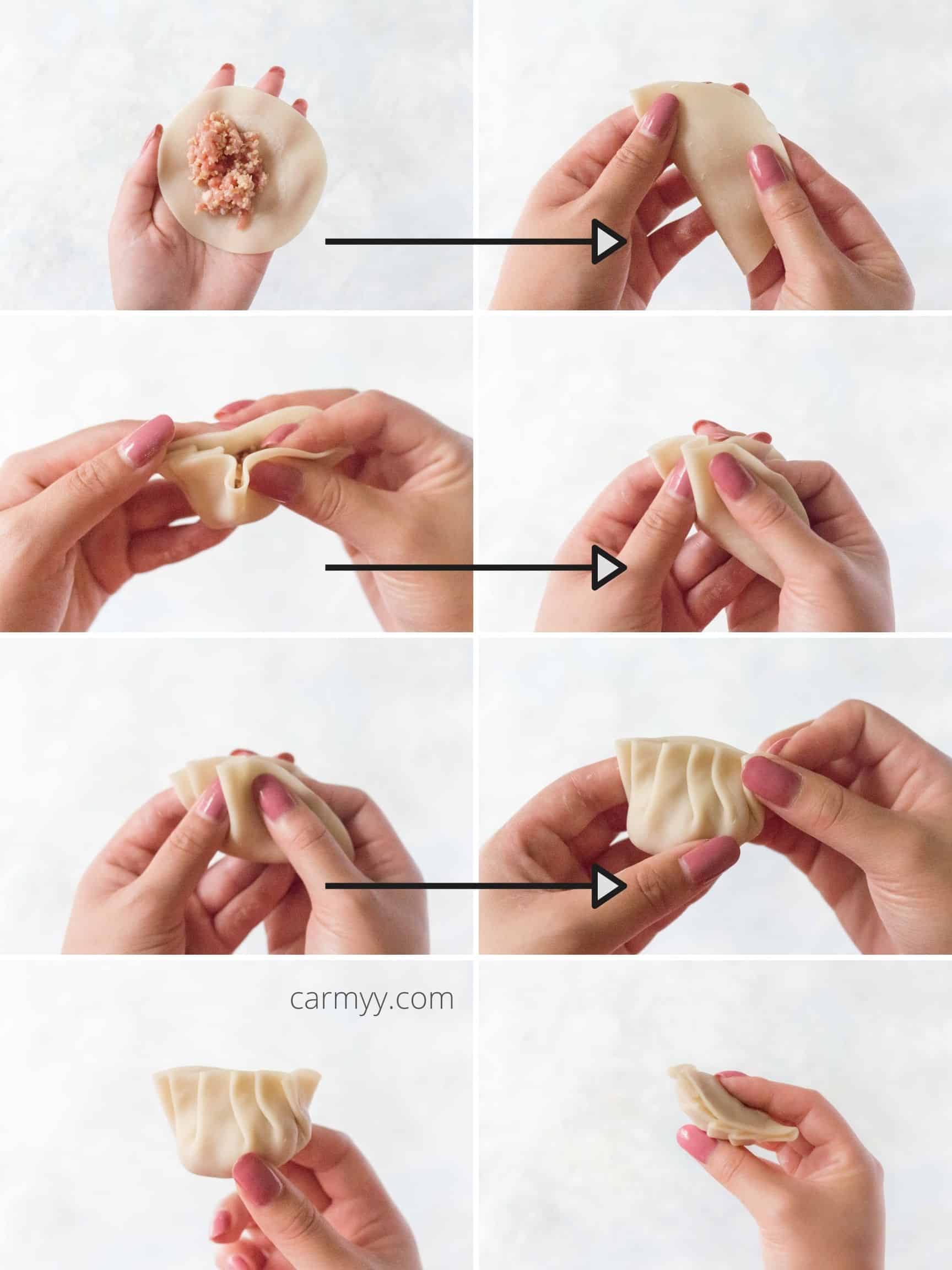 Step by step instructions on folding dumplings.