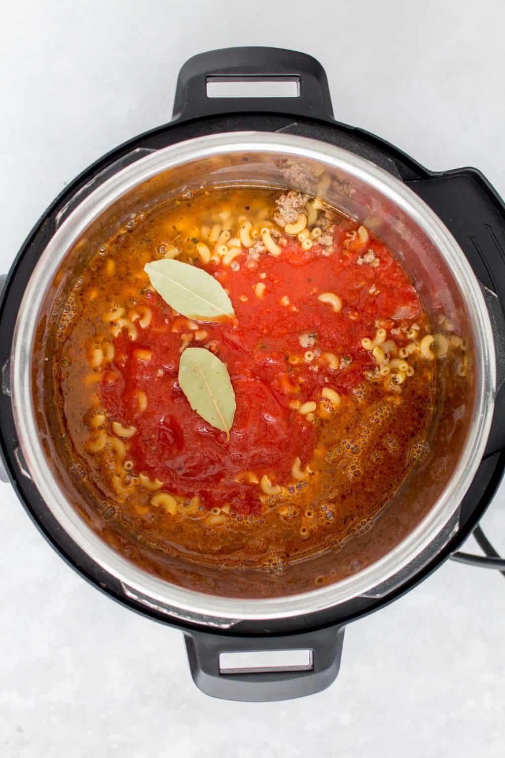 Instant Pot Goulash | Easy Instant Pot Beef Recipe