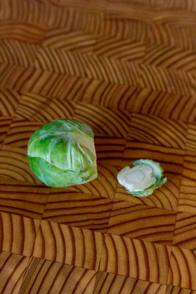 Bottom of the brussel sprout cut off.