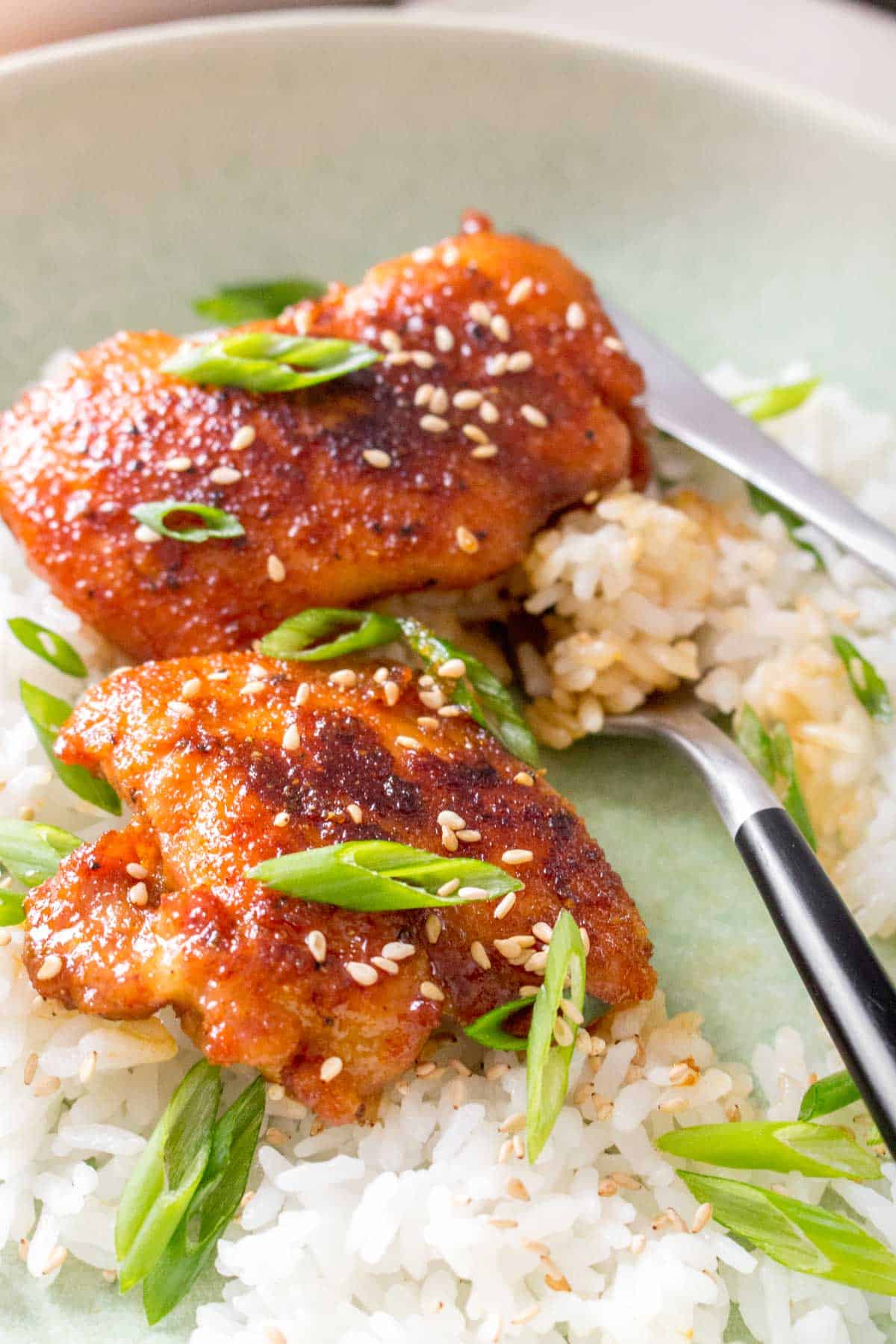 Close up of a plate of rice and teriyaki chicken thighs being eaten.