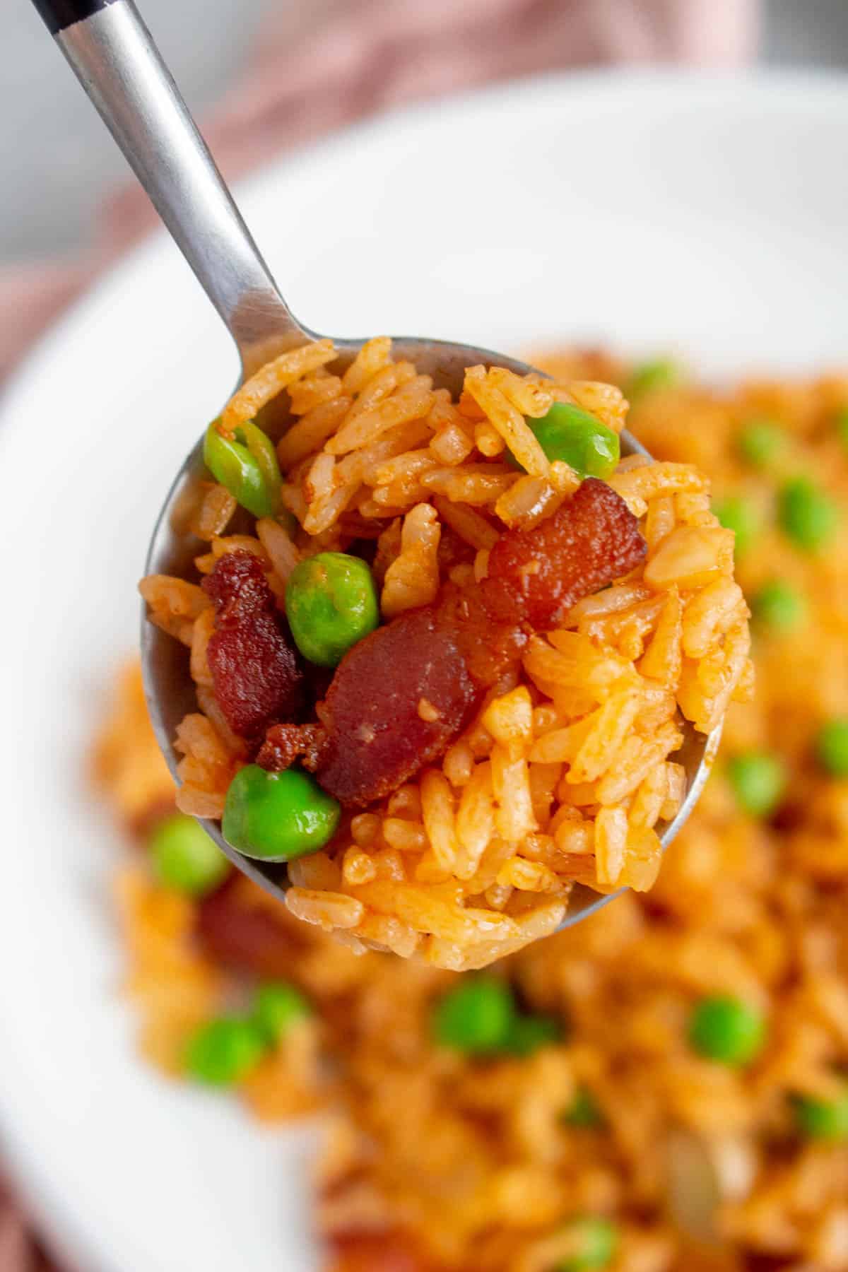 Close up of a spoonful of ketchup fried rice.