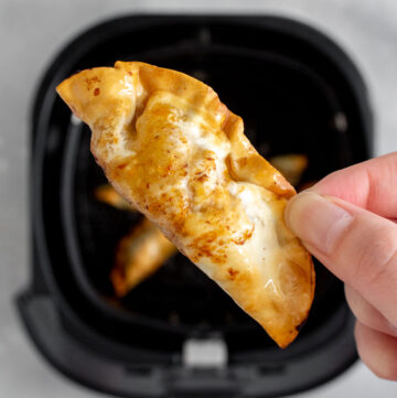 Hand holding a crispy air fryer dumpling.