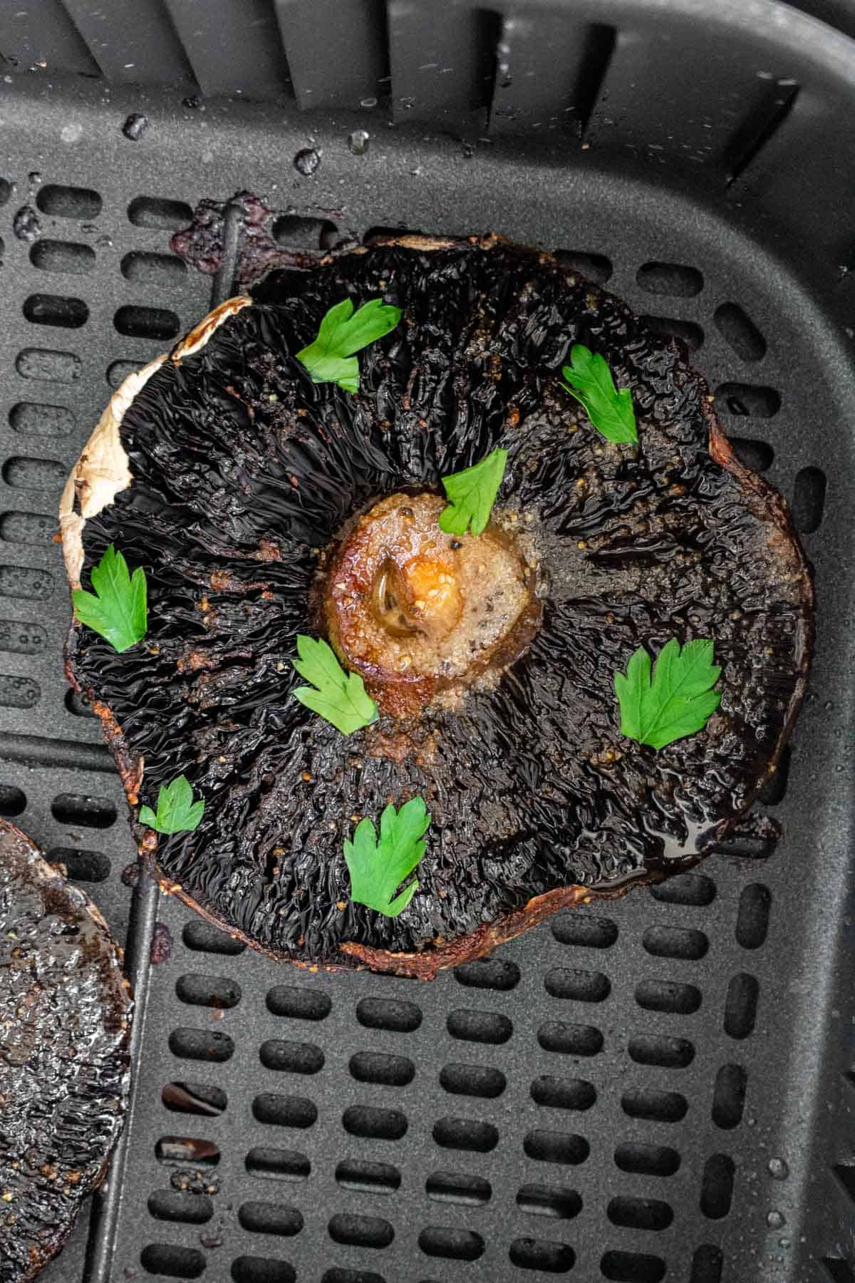 Overhead view of an air fryer portobello mushroom in the basket with parsley on top.