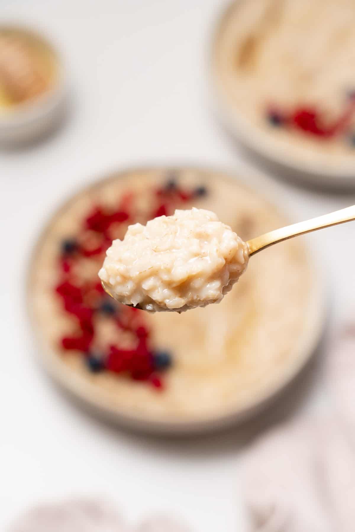 A spoonful of honey oatmeal lifted from a out of focus bowl.