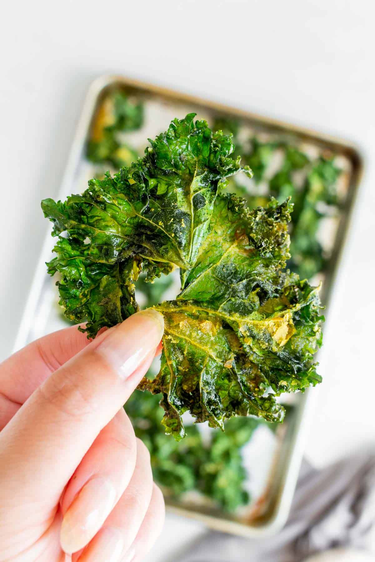 A hand holding up a crispy piece of kale chip with nutritional yeast.