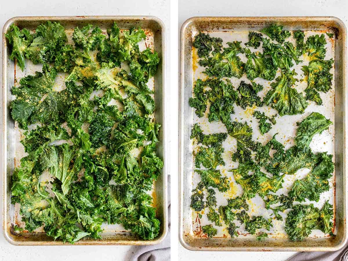 Set of two photos before and after kale chips with nutritional yeast roasted.