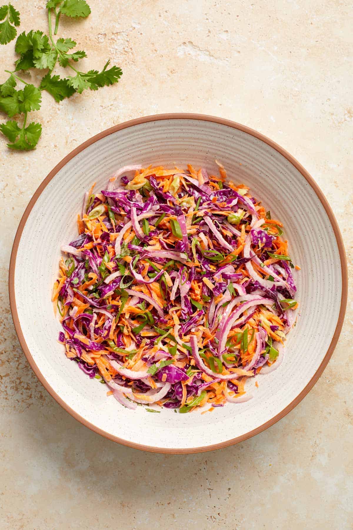 Overhead view of a bowl of purple cabbage slaw with some cilantro on the side.