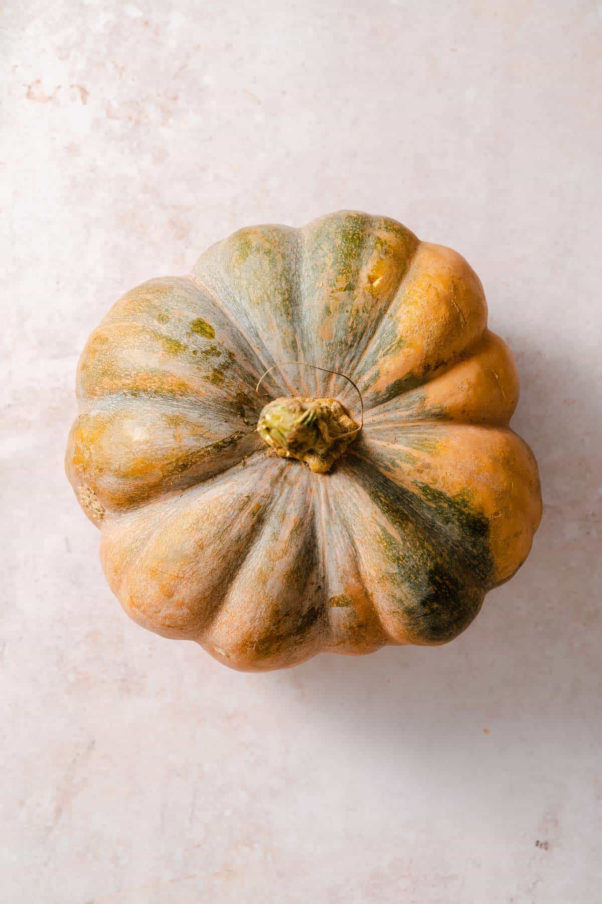 Overhead view of a large pumpkin.