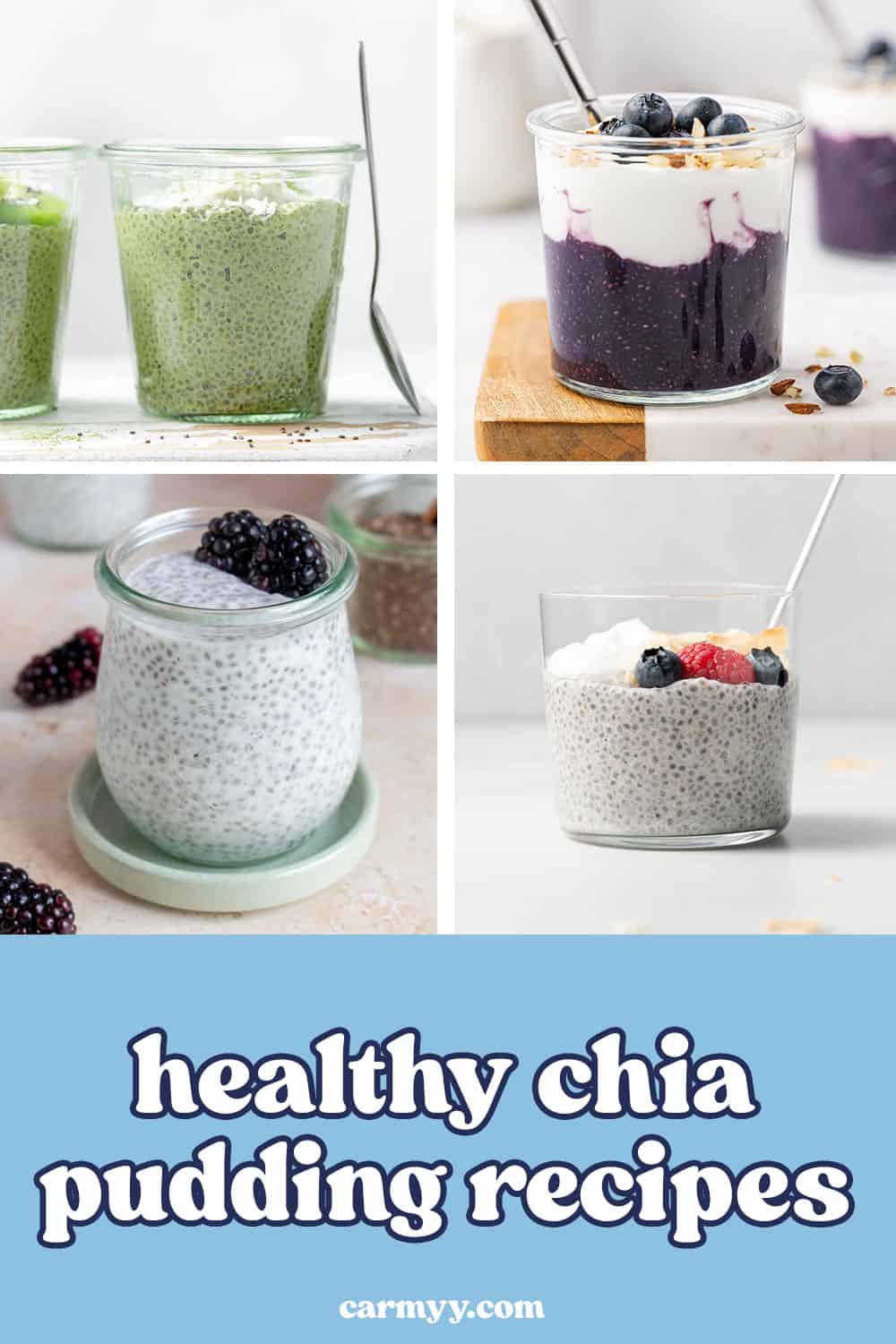Pinterest graphic for healthy chia pudding roundup. 