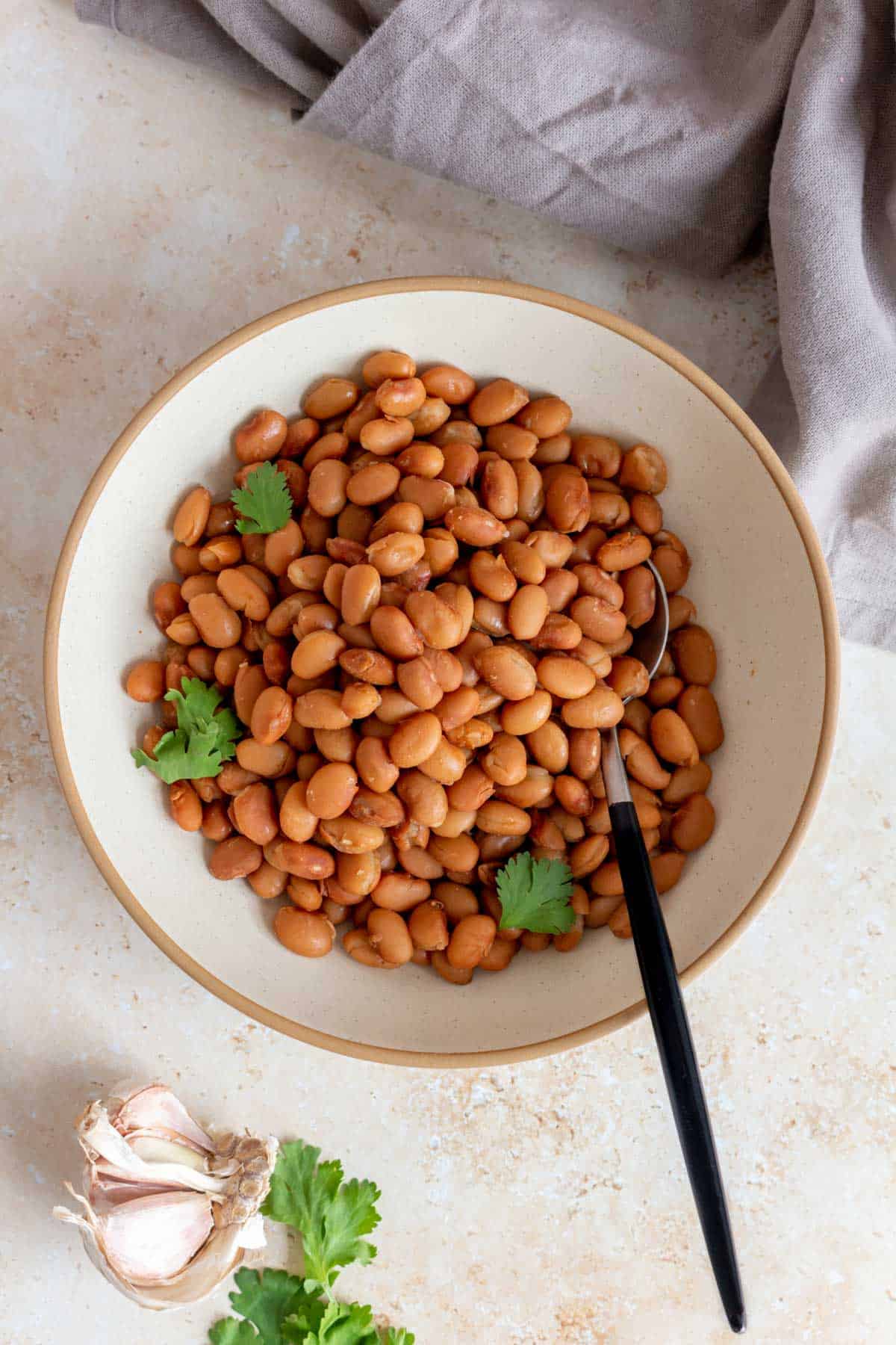 Instant Pot Pinto Beans No Soak