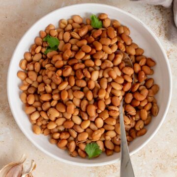 A plate of pinto beans with some cilantro and a spoon inside.