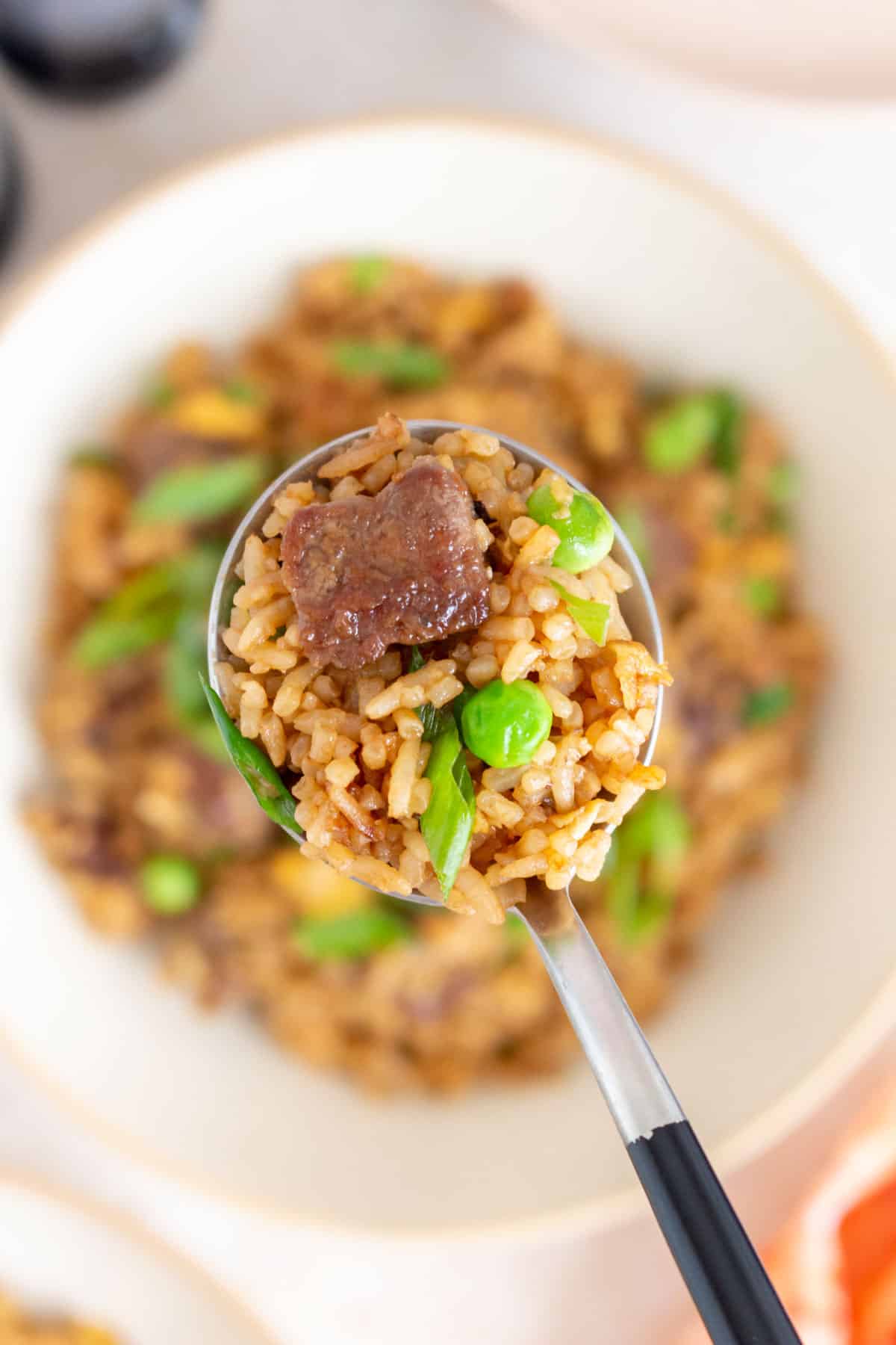 A spoonful of steak fried rice lifted from the plate.
