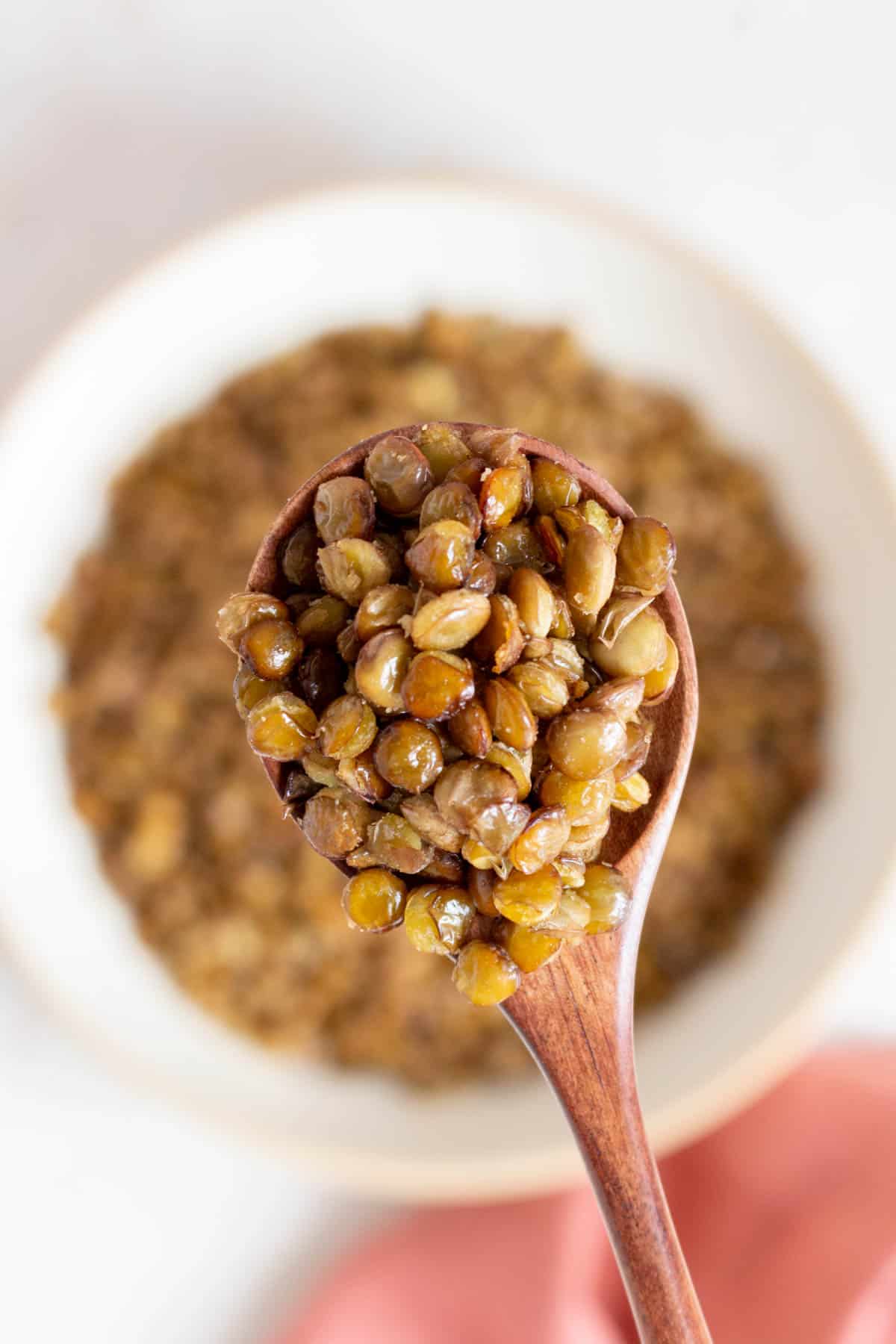 A spoonful of crispy lentils.