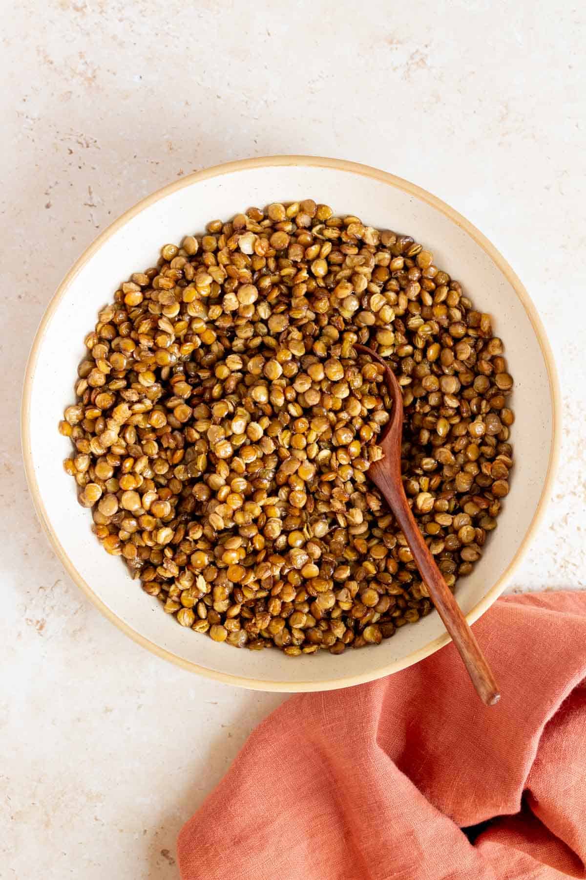 A bowl of crispy lentils with a spoon.