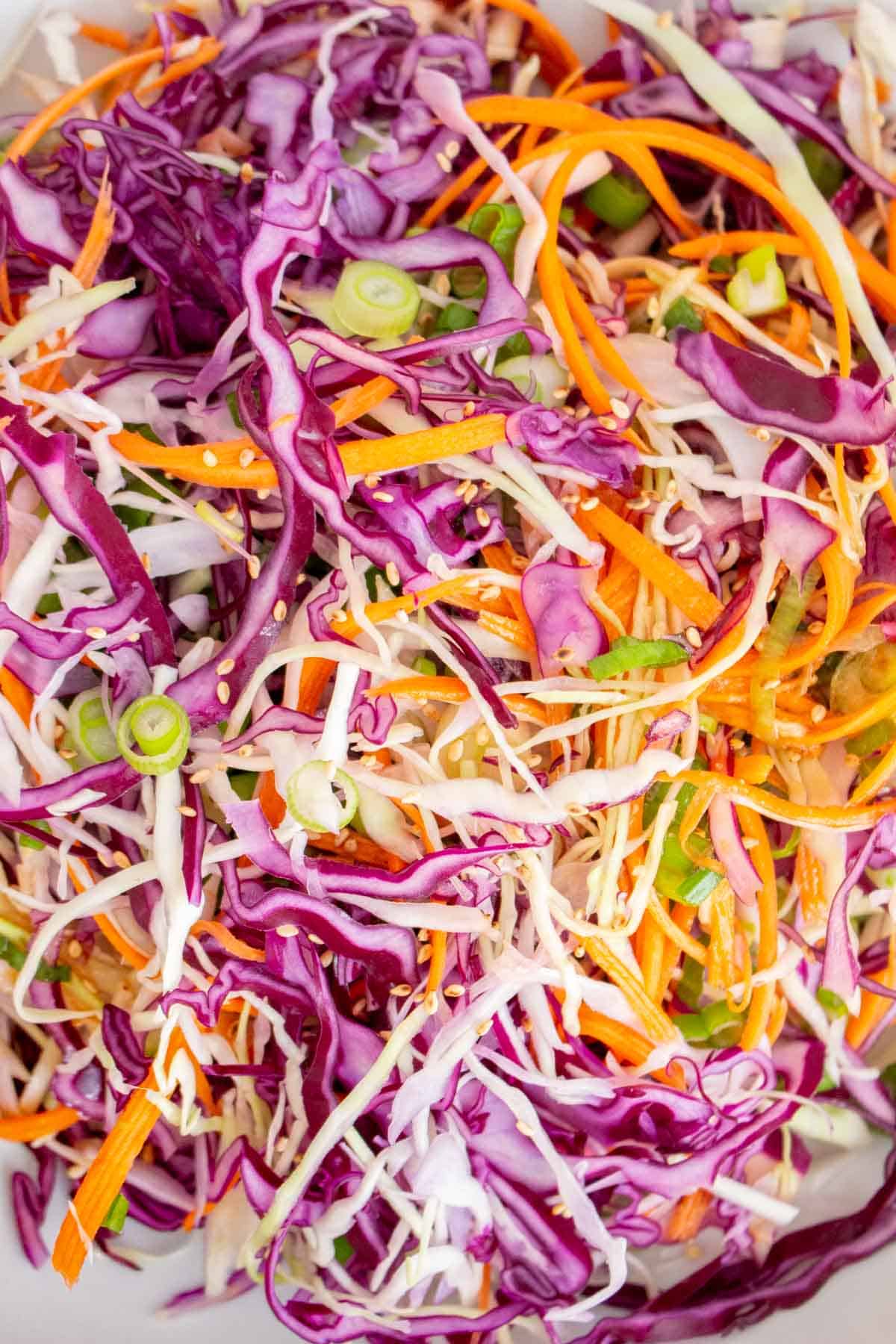 Close up view of asian coleslaw.