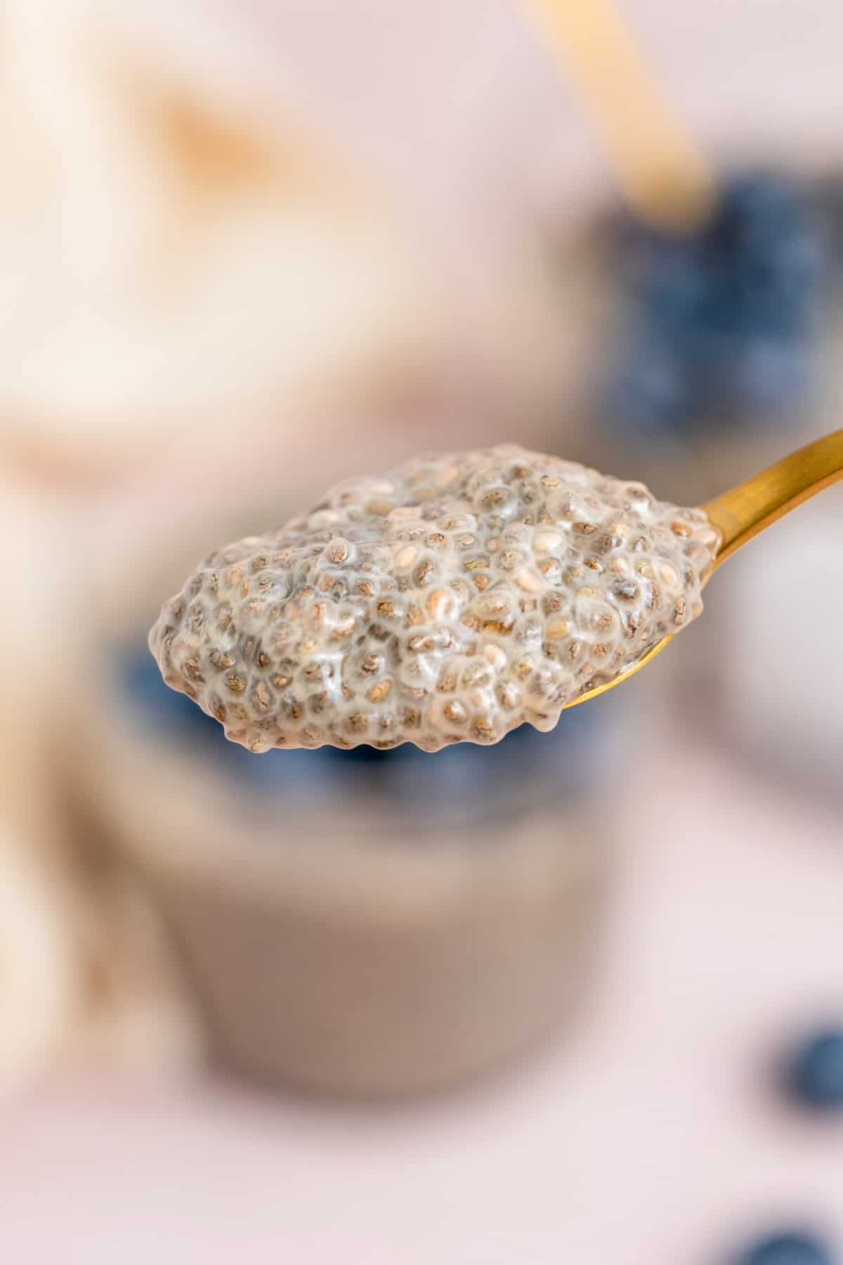 A close up of a spoonful of jasmine chia pudding.